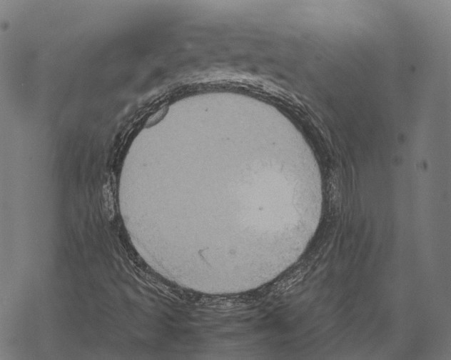 X0000067871493200605111746