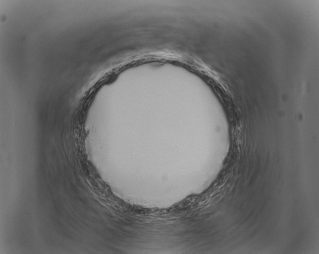 X0000067871496200605111746