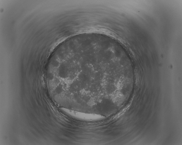 X0000067871497200605111746