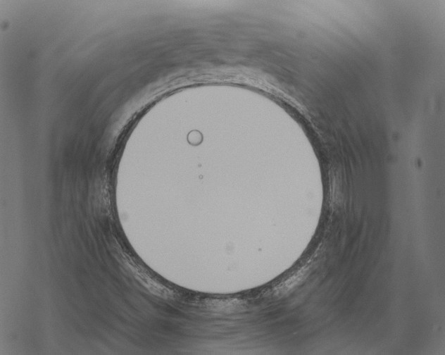 X0000067871498200605111746