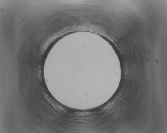 X0000067871499200605111746