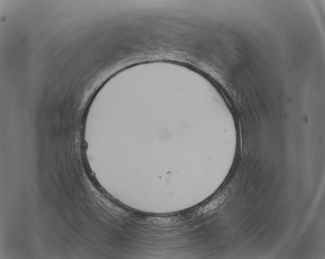 X0000067871500200605111746