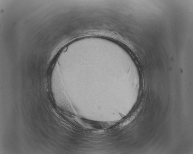 X0000067871501200605111746