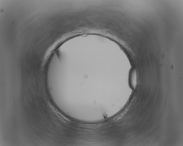 X0000067871502200605111746