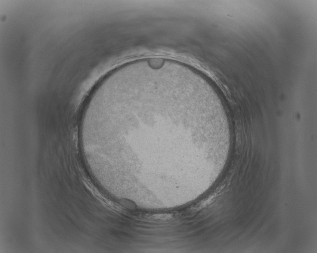 X0000067871503200605111746