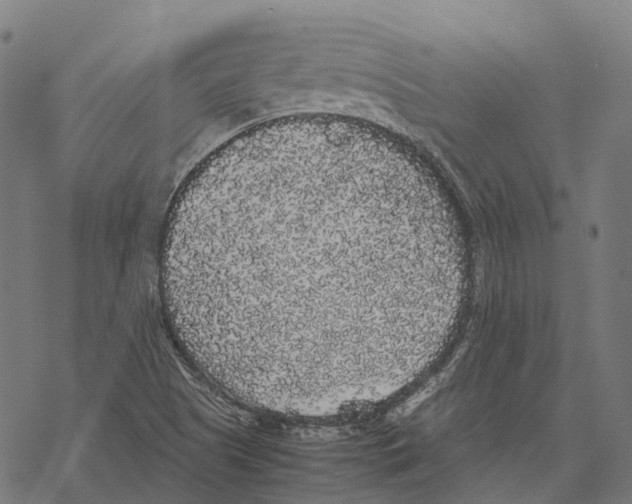 X0000067871505200605111746