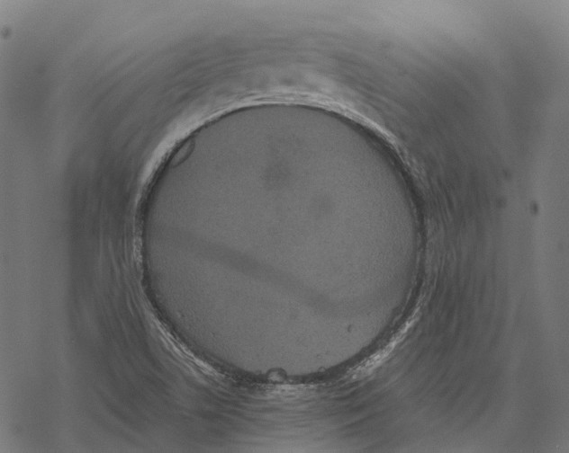 X0000067871506200605111746