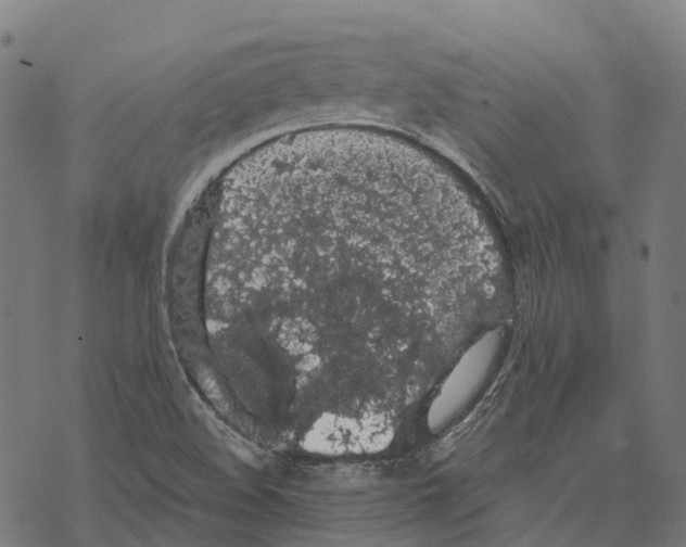 X0000067871508200605111746