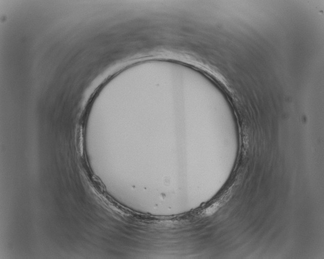 X0000067871510200605111746