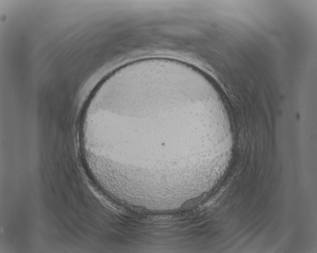 X0000067871511200605111746