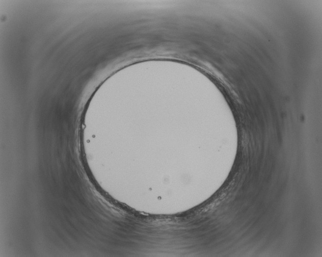 X0000067871512200605111746