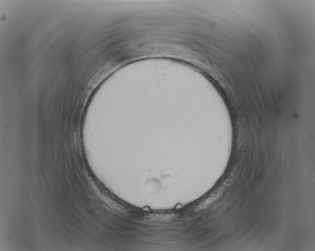 X0000067871513200605111746