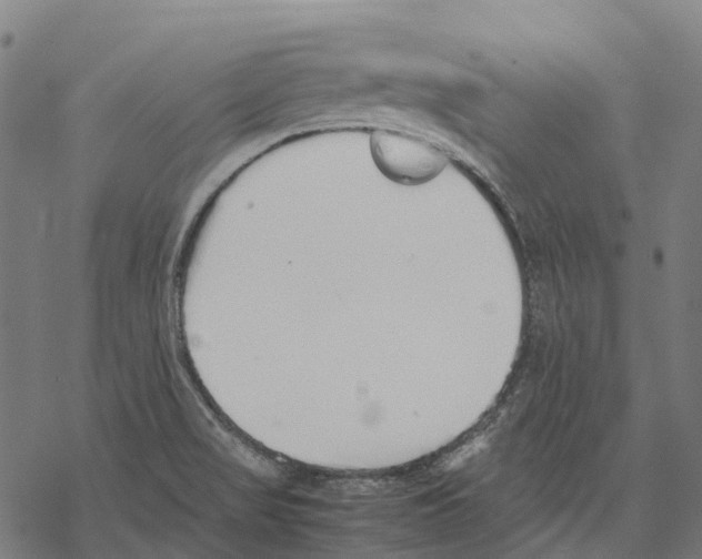 X0000067871517200605111746