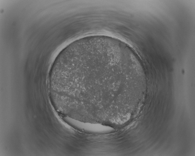 X0000067871519200605111746