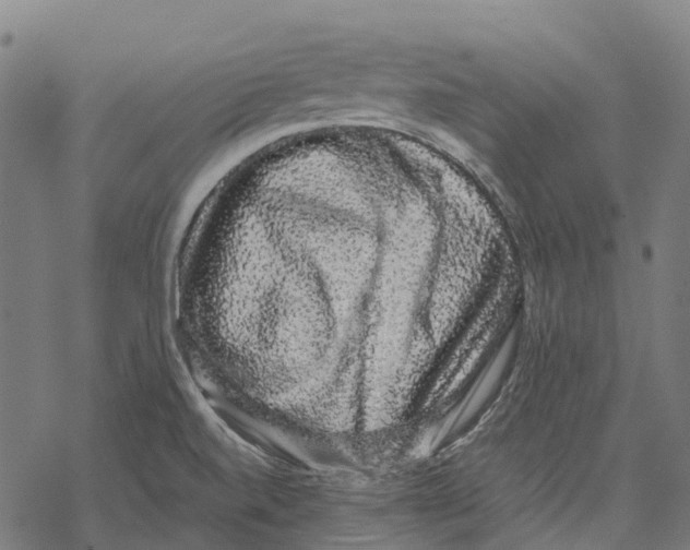 X0000067871520200605111746