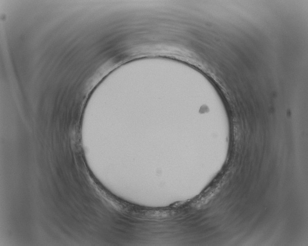 X0000067871521200605111746