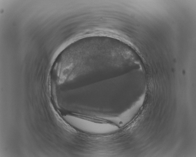 X0000067871522200605111746