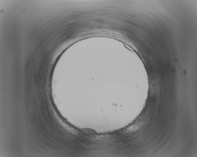 X0000067871523200605111746