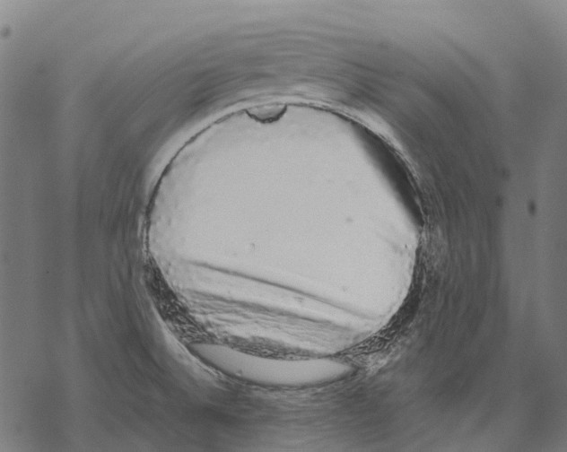 X0000067871524200605111746