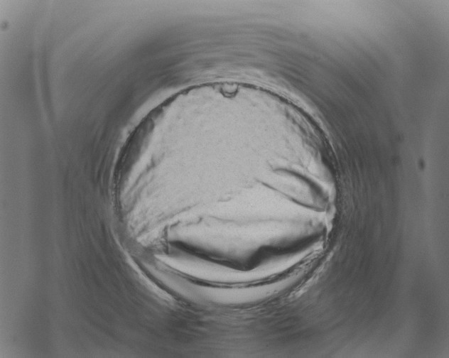 X0000067871525200605111746