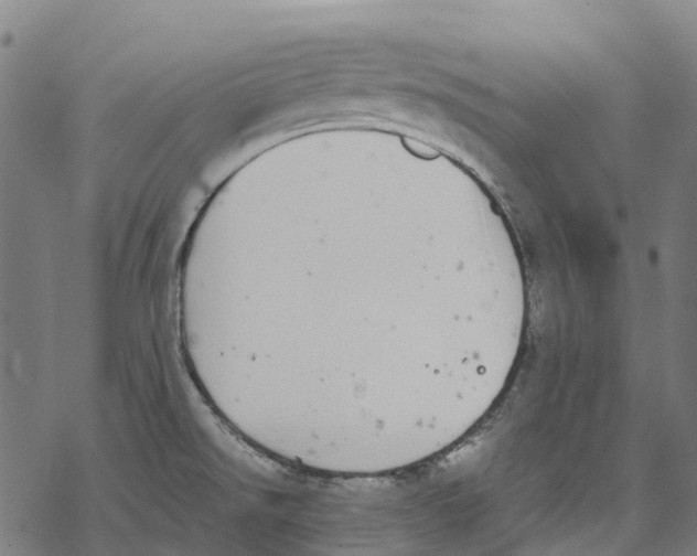 X0000067871526200605111746