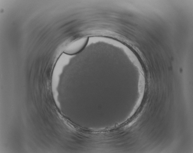 X0000067871529200605111746