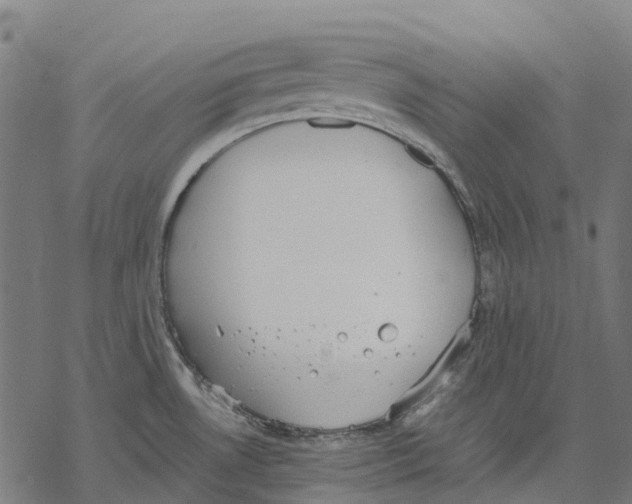 X0000067871530200605111746