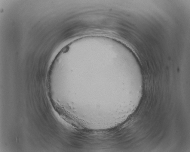 X0000067871531200605111746