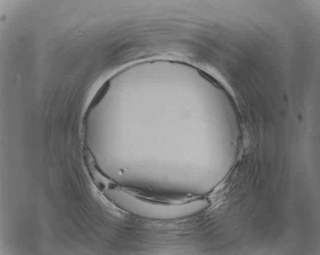 X0000067871532200605111746