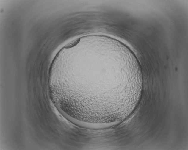 X0000067871534200605111746