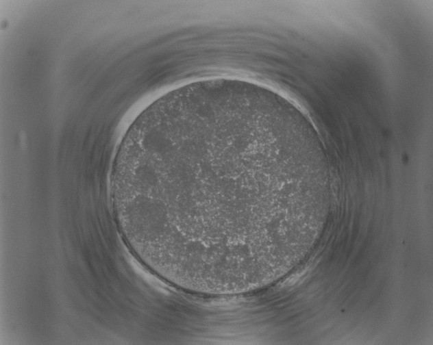 X0000067871535200605111747