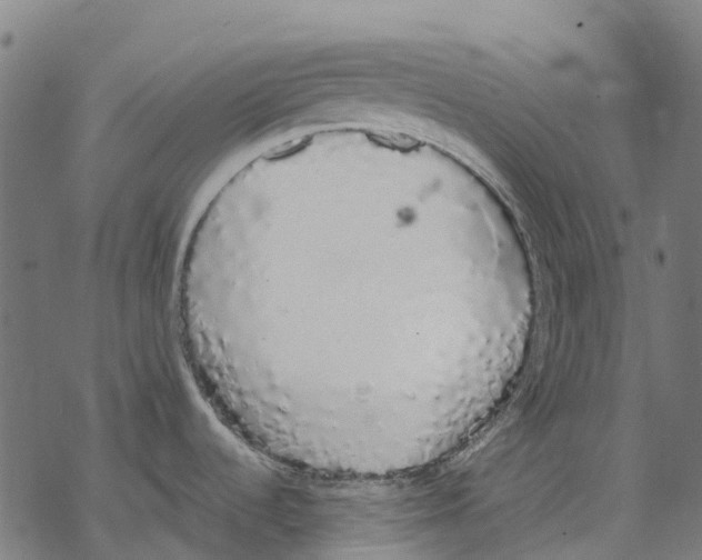 X0000067871536200605111747