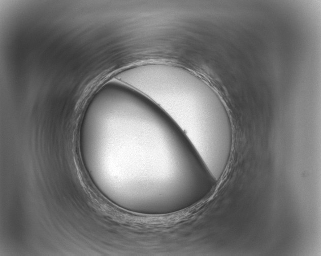 X0000067880001200604131053