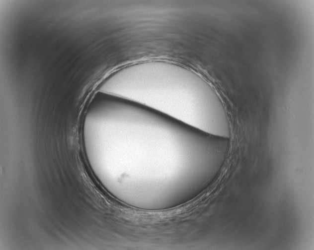 X0000067880002200604131053