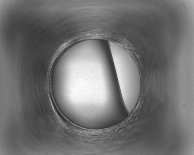 X0000067880003200604131053