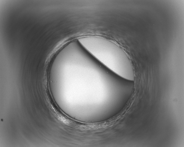 X0000067880005200604131053