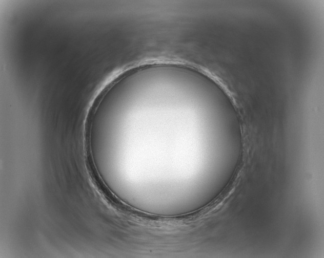 X0000067880008200604131052