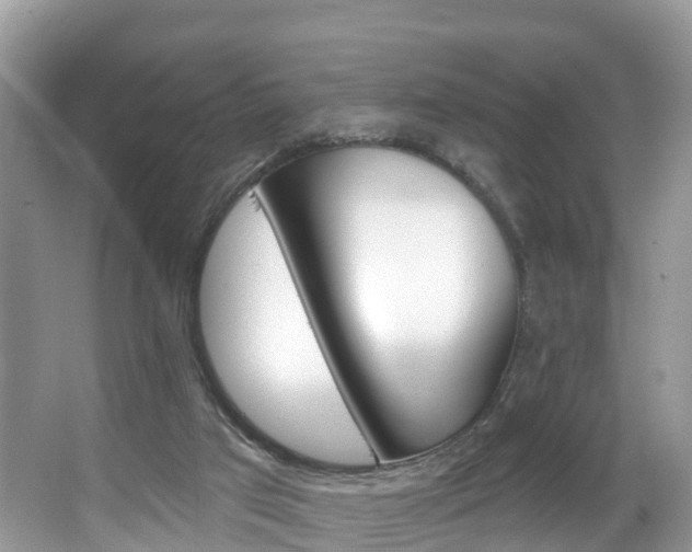 X0000067880017200604131052