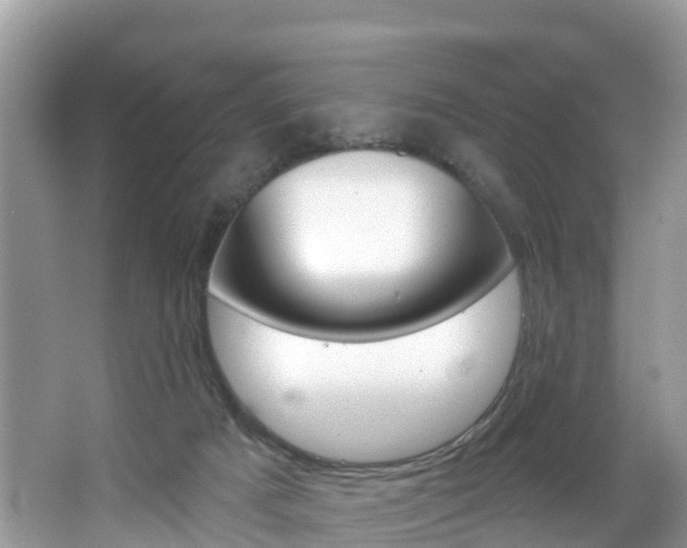 X0000067880025200604131052