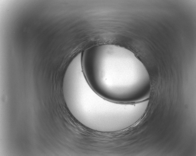 X0000067880045200604131052
