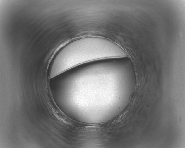 X0000067880050200604131051