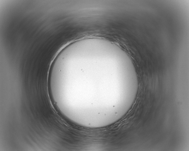 X0000067880052200604131051