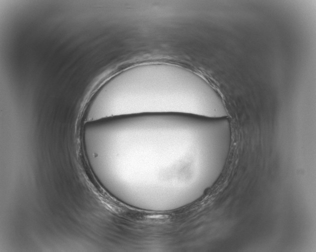 X0000067880053200604131051