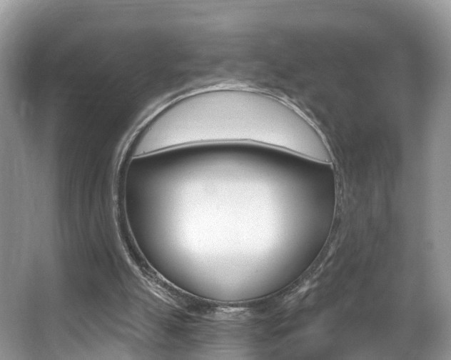 X0000067880055200604131051