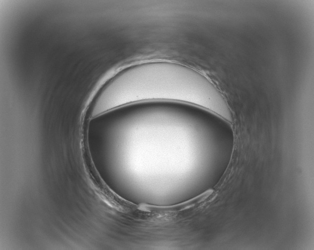 X0000067880056200604131051