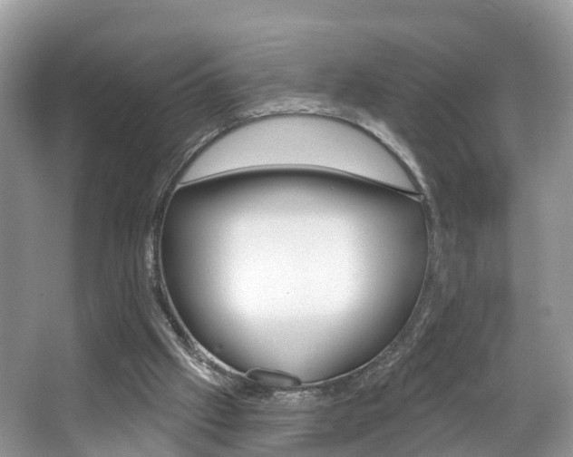 X0000067880057200604131051