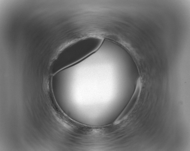 X0000067880060200604131051