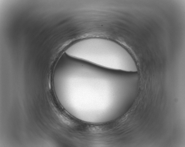 X0000067880062200604131051