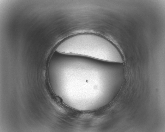 X0000067880063200604131051