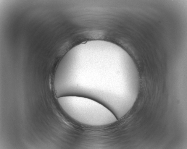 X0000067880069200604131051